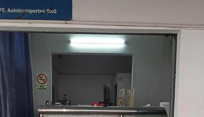 Terminal Oro -  Videos - Amayuca