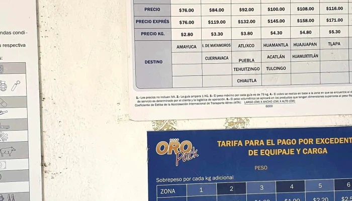 Terminal Oro -  Zona - Cuautla
