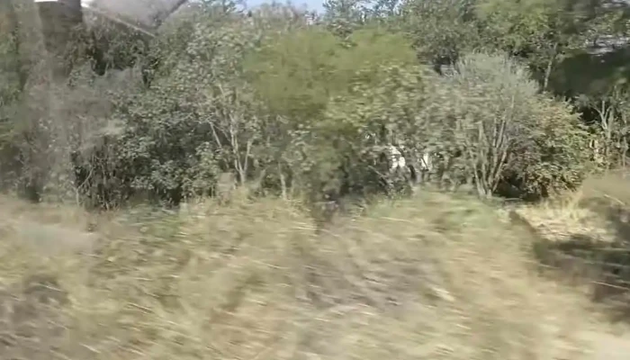 Terminal Pullman De Morelos -  Videos - Miacatlán