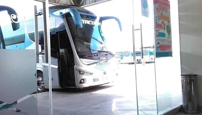 Terminal Sala Plus -  Autobus - Toluca de Lerdo