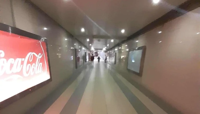 Terminal San Jeronimo -  Telefono - León de los Aldama