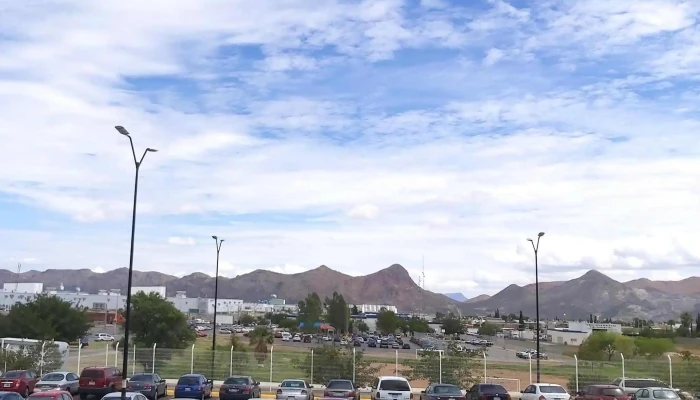 Terminal Sur Bowi Instagram - Chihuahua