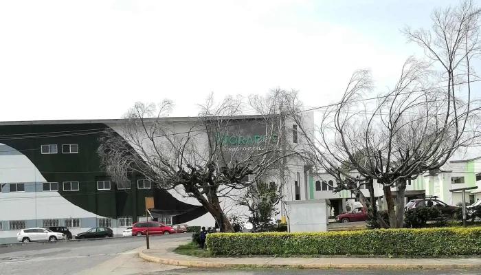 Terminal Ter -  Opiniones - Oaxtepec