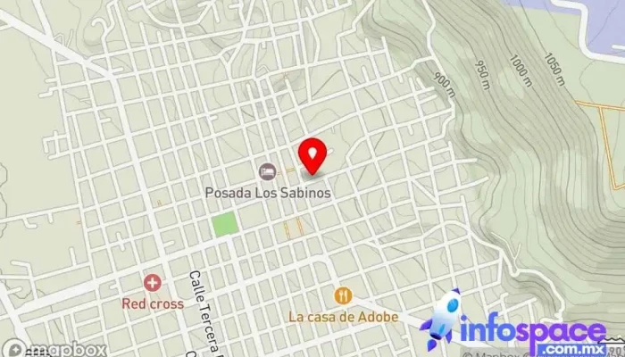 mapa de Terminal Transporte- Galeana Servicio de transporte con acompañante en Ocozocoautla de Espinosa