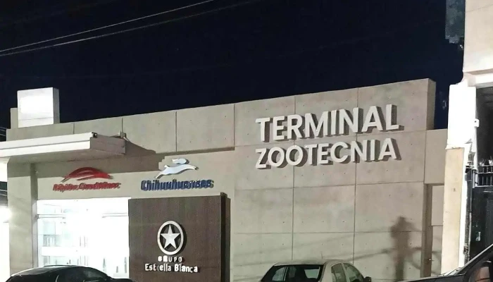 Terminal Zootecnia -  Mas Recientes - Chihuahua