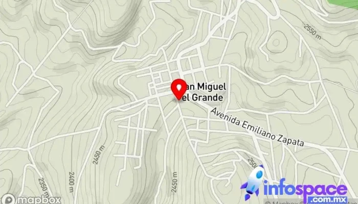 mapa de tics Empresa de software en San Miguel el Grande