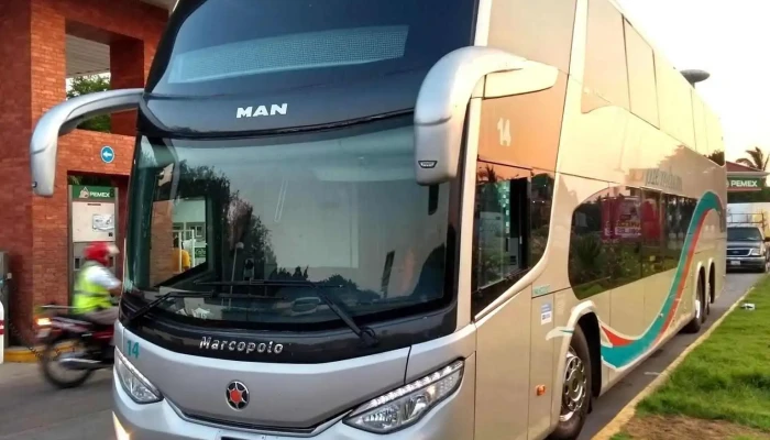 Tlpremium buses - 20200 La Loma De Los Negritos