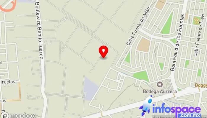 mapa de Transmal Mex. Servicio de transporte en Tultitlán de Mariano Escobedo