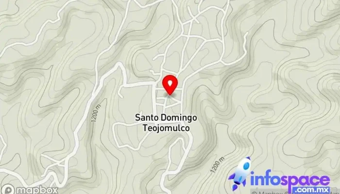 mapa de Transporte de pasaje y turismo teojomulco Empresa de transporte por camión en Santo Domingo Teojomulco