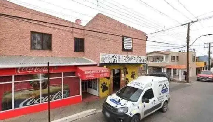Transportes Chihuahuenses -  Precios - Hidalgo del Parral