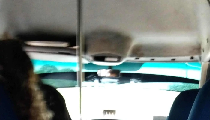 Transportes Delfines De Puerto Escondido Esc Sa De Cv Precios - San Pedro Pochutla