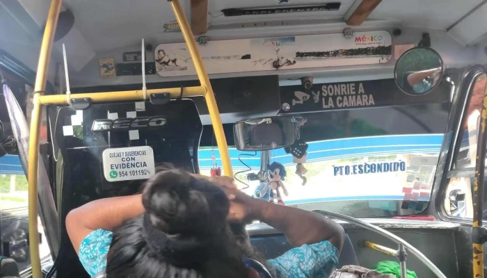 Transportes Delfines De Puerto Escondido Esc Sa De Cv San Pedro Pochutla - San Pedro Pochutla