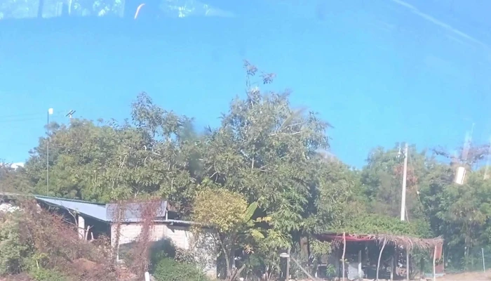 Transportes Delfines Pto Escondido -  Abierto Ahora - Puerto Escondido