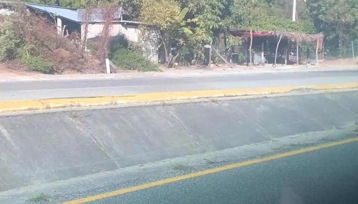 Transportes Delfines Pto Escondido -  Videos - Puerto Escondido
