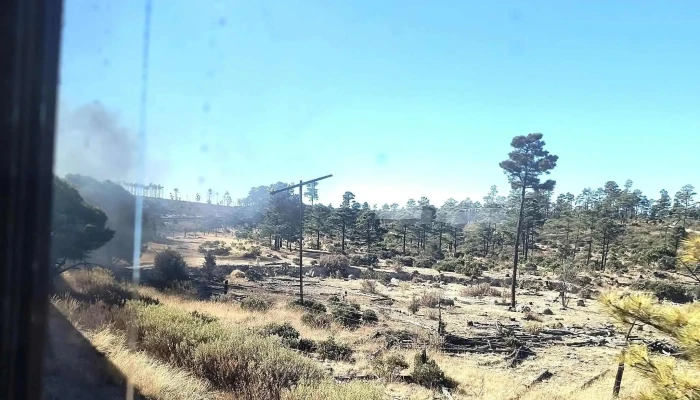 Tren Chepe Express Estacion Chihuahua Instagram - Chihuahua