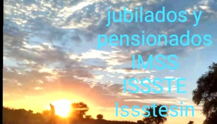 Tu Ahorro Y Proteccion Asesoria Financiera Profesional Comentarios - Culiacán Rosales