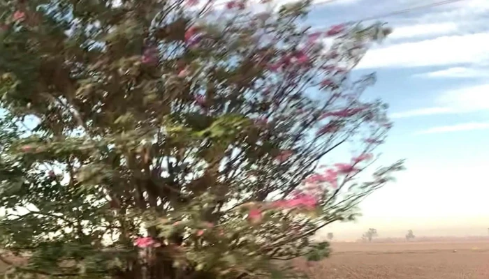 Tufesa -  Donde - Mazatlán