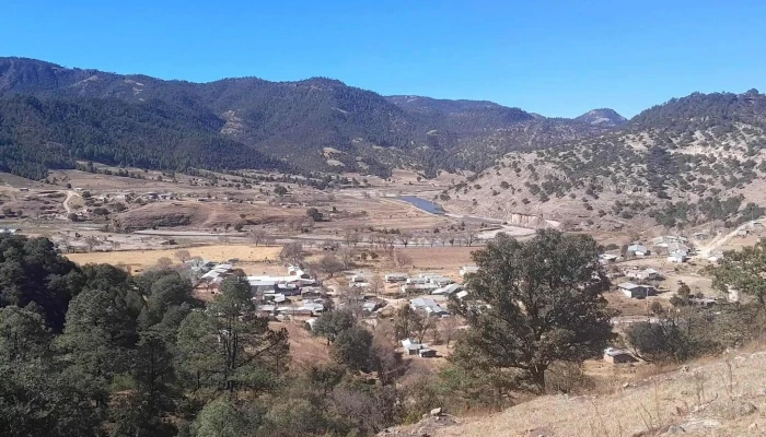 Turuachi -  Instagram - Turuachi