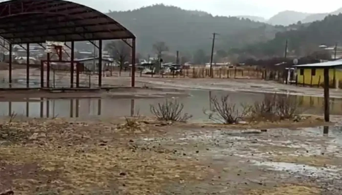 Turuachi -  Videos - Turuachi