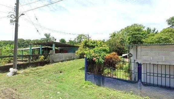 Ulapa -  Abierto Ahora - Consuelo Ulapa