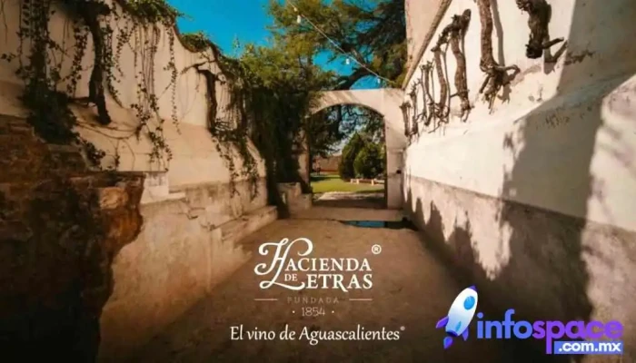 Viñedos y Bodegas Hacienda de Letras - 20668 San Luis De Letras