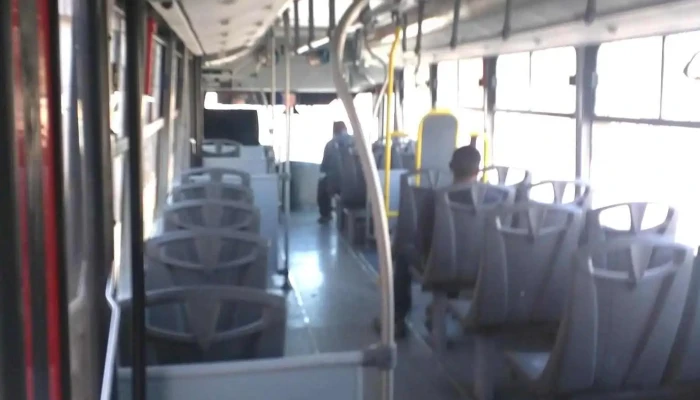 Vivebus Autobus - Chihuahua