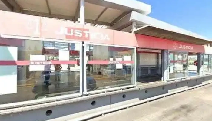 Vivebus Justicia Preciosdeg - Chihuahua