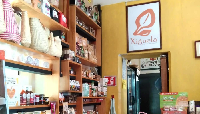 Xiguela Tienda -  Sitio Web - Oaxaca de Juárez