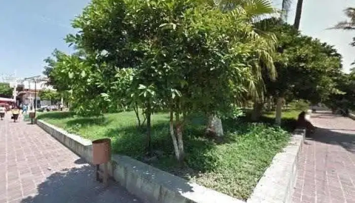 Xquendadu Opiniones - Juchitán de Zaragoza