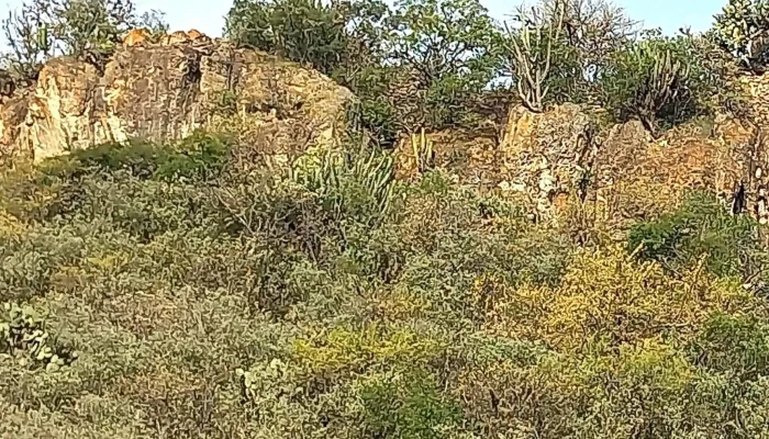 Yagul -  Descuentos - Oaxaca