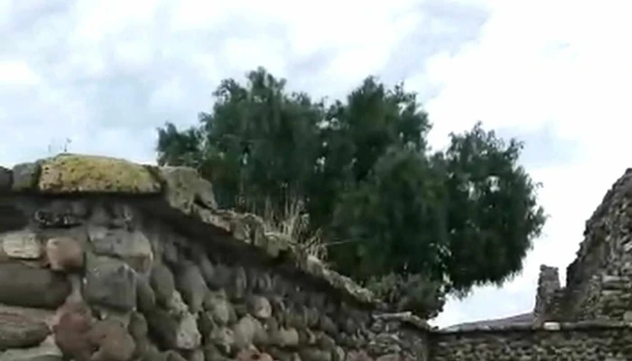 Yagul -  Numero - Oaxaca