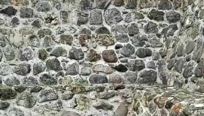 Yagul -  Oaxaca - Oaxaca