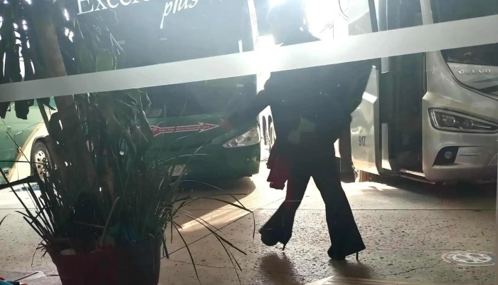 Zina Bus -  Horario - Álvaro Obregón, Ciudad de México
