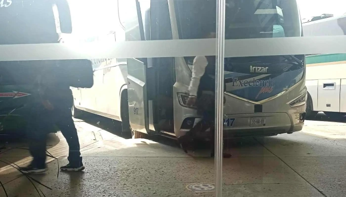 Zina Bus -  Zona - Álvaro Obregón, Ciudad de México