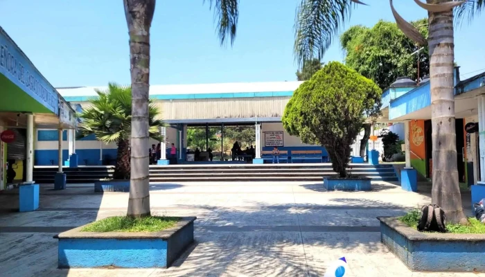 🚍autobuses Astro Plus Huatusco - Centro